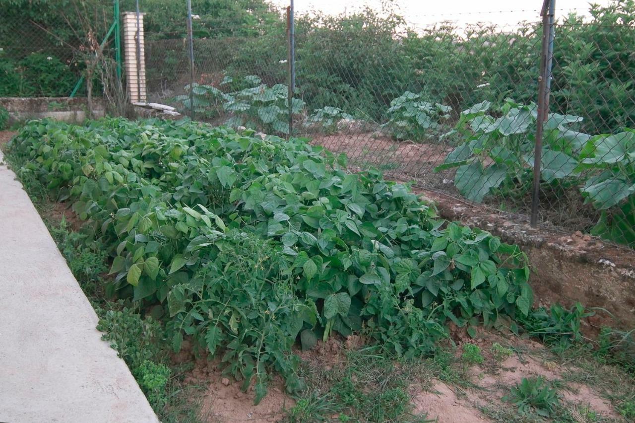 El Jardin De Manuela Villa Santibanez del Val Dış mekan fotoğraf