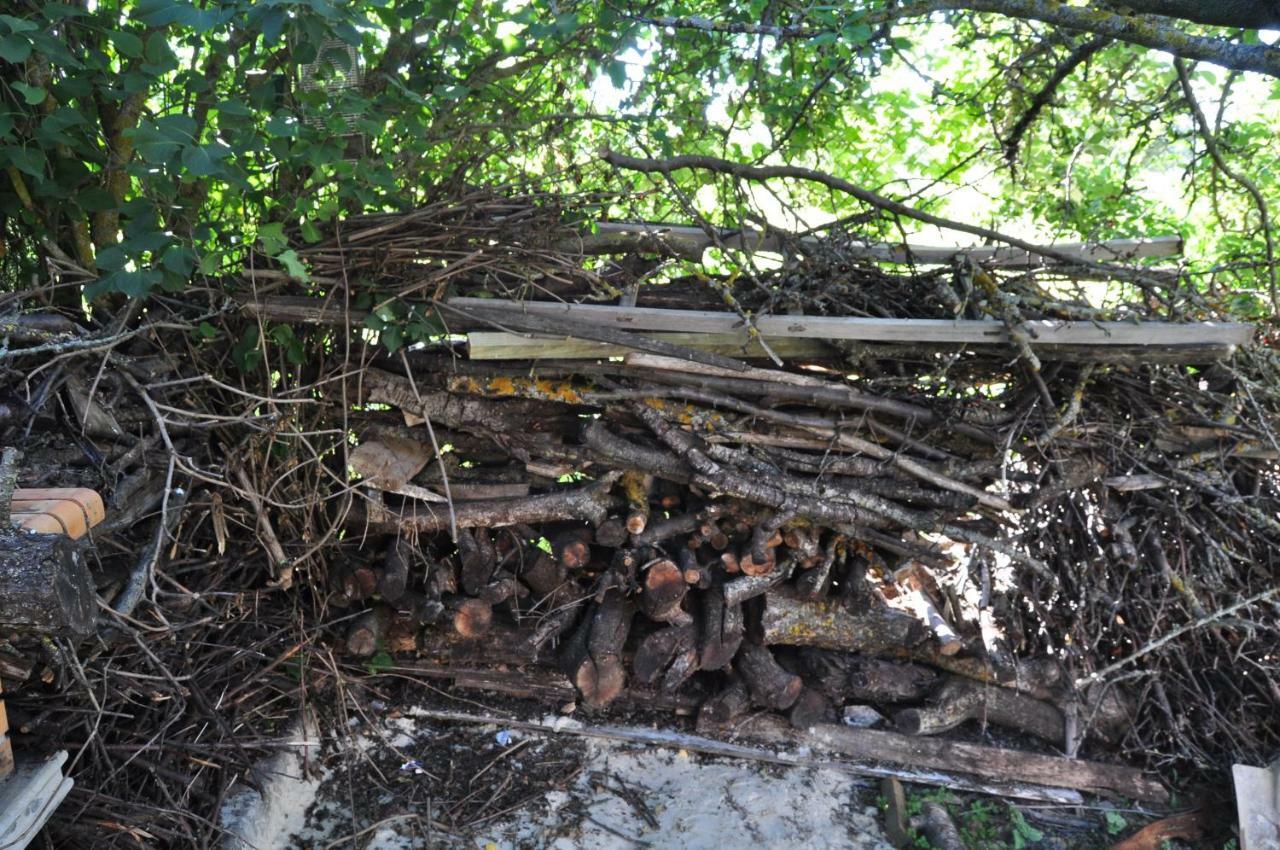 El Jardin De Manuela Villa Santibanez del Val Dış mekan fotoğraf
