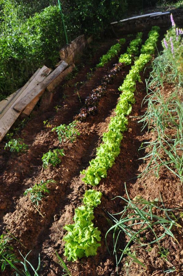 El Jardin De Manuela Villa Santibanez del Val Dış mekan fotoğraf