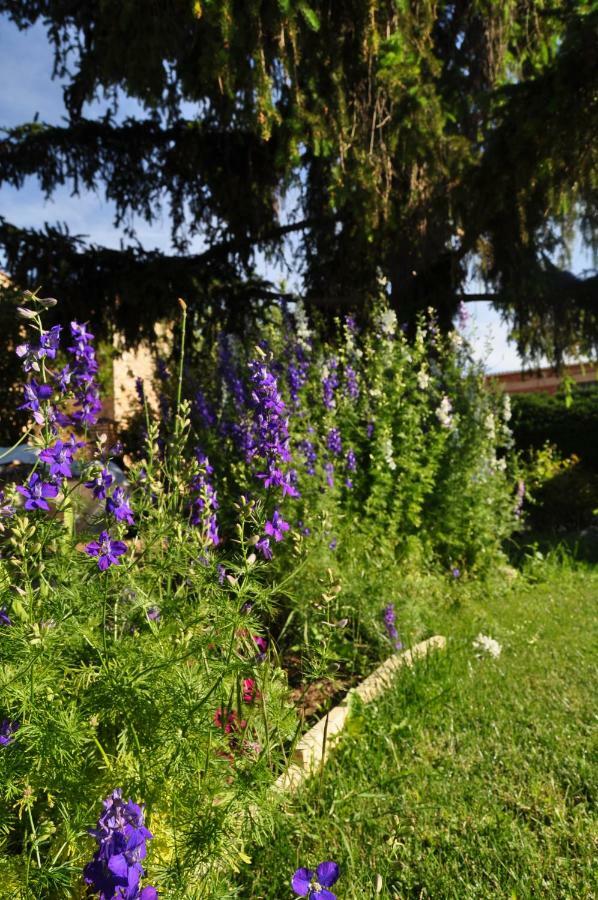 El Jardin De Manuela Villa Santibanez del Val Dış mekan fotoğraf